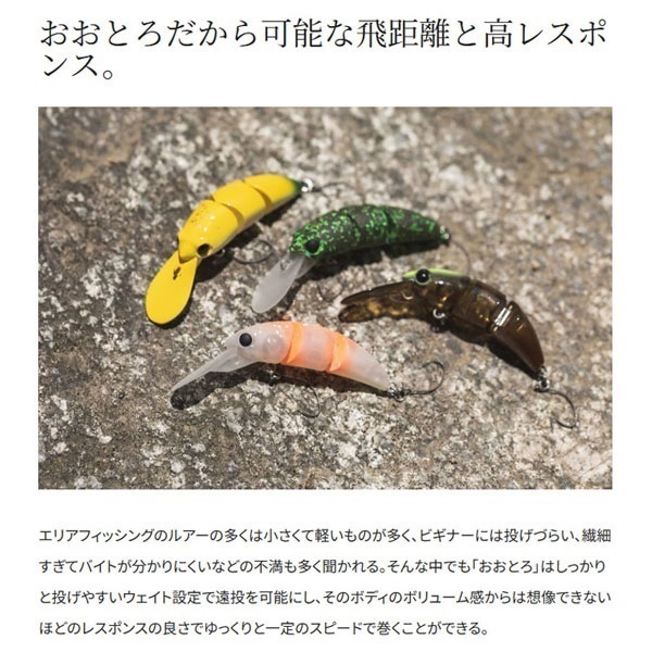 CARDIFF  おおとろ 45F